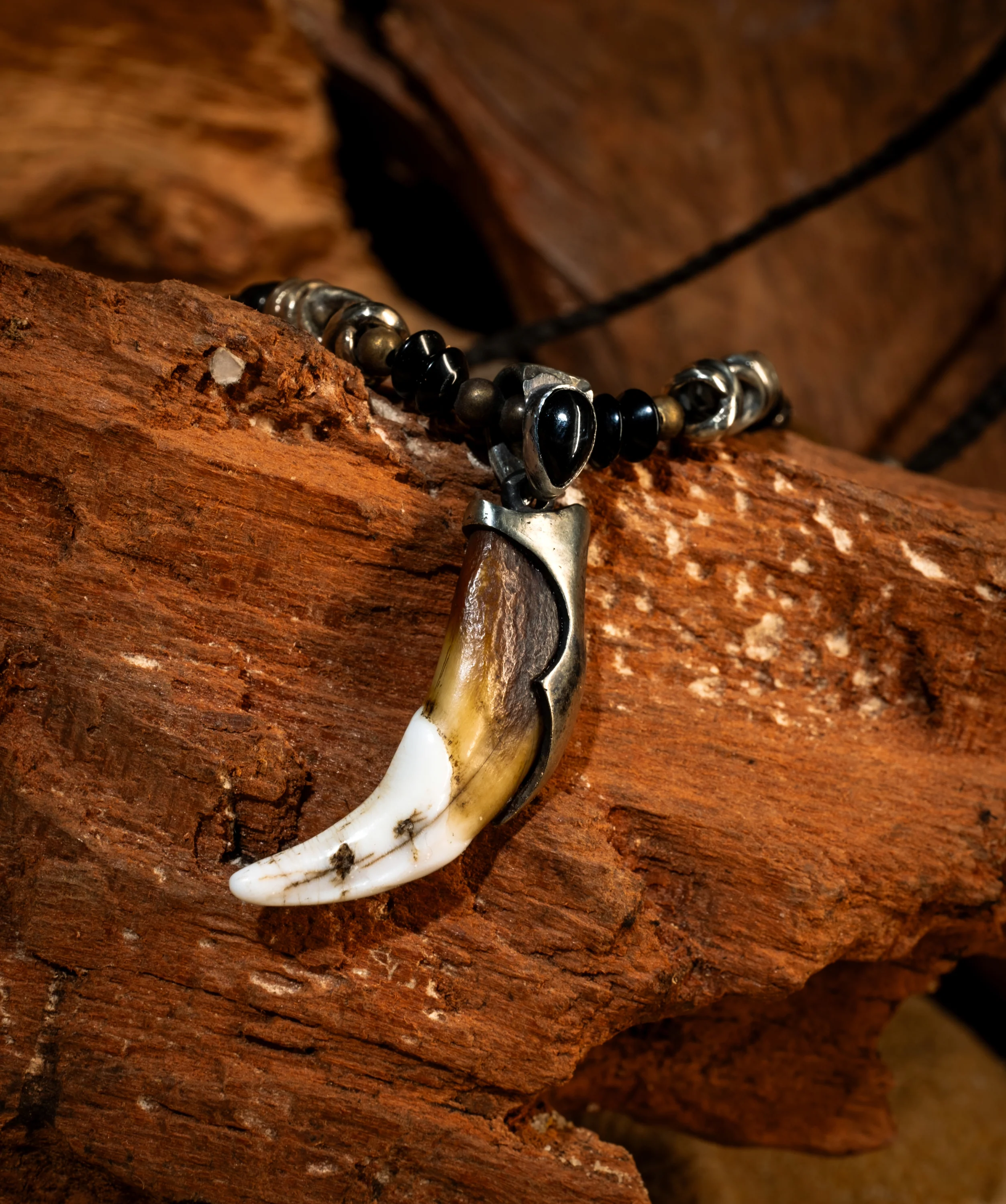 Real de Catorce: Coyote Fang - Image 8